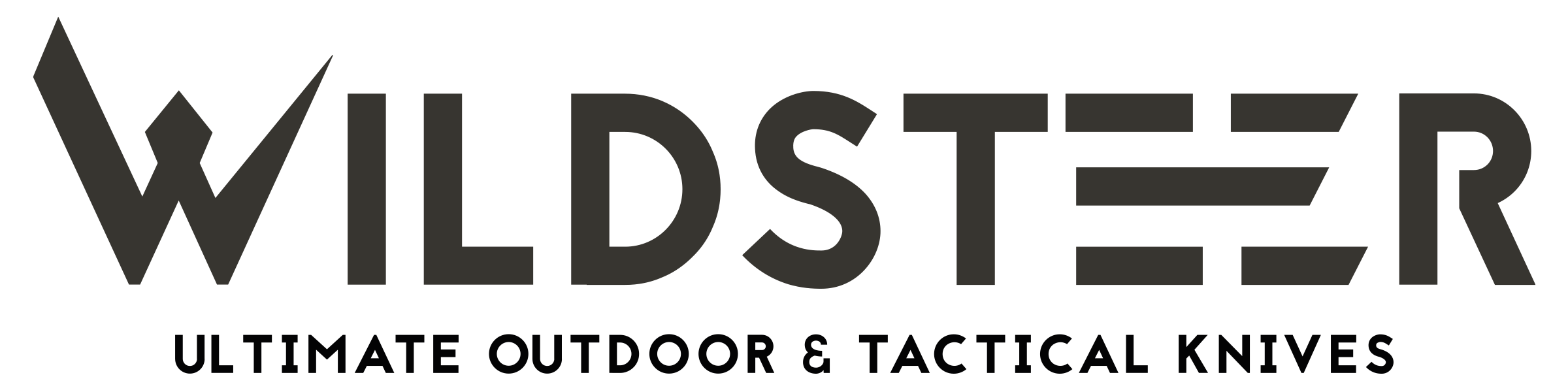 20200728 Wildsteer Logo Tactique