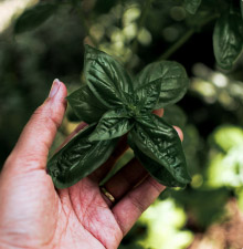 AdobeStock 540227894 1